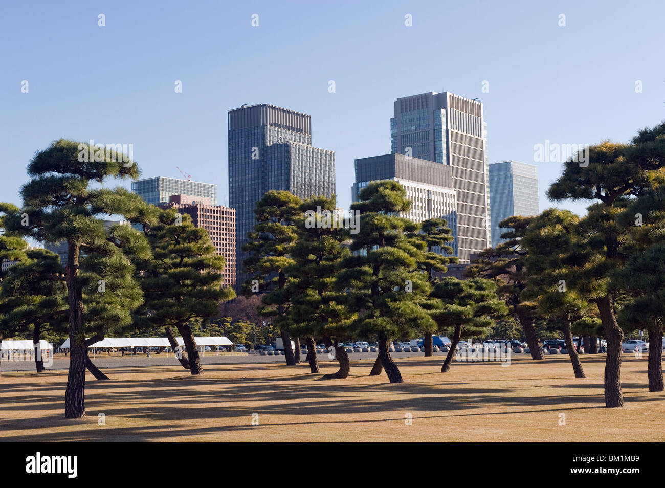City Skyline, Tokio, Japan, Asien Stockfoto