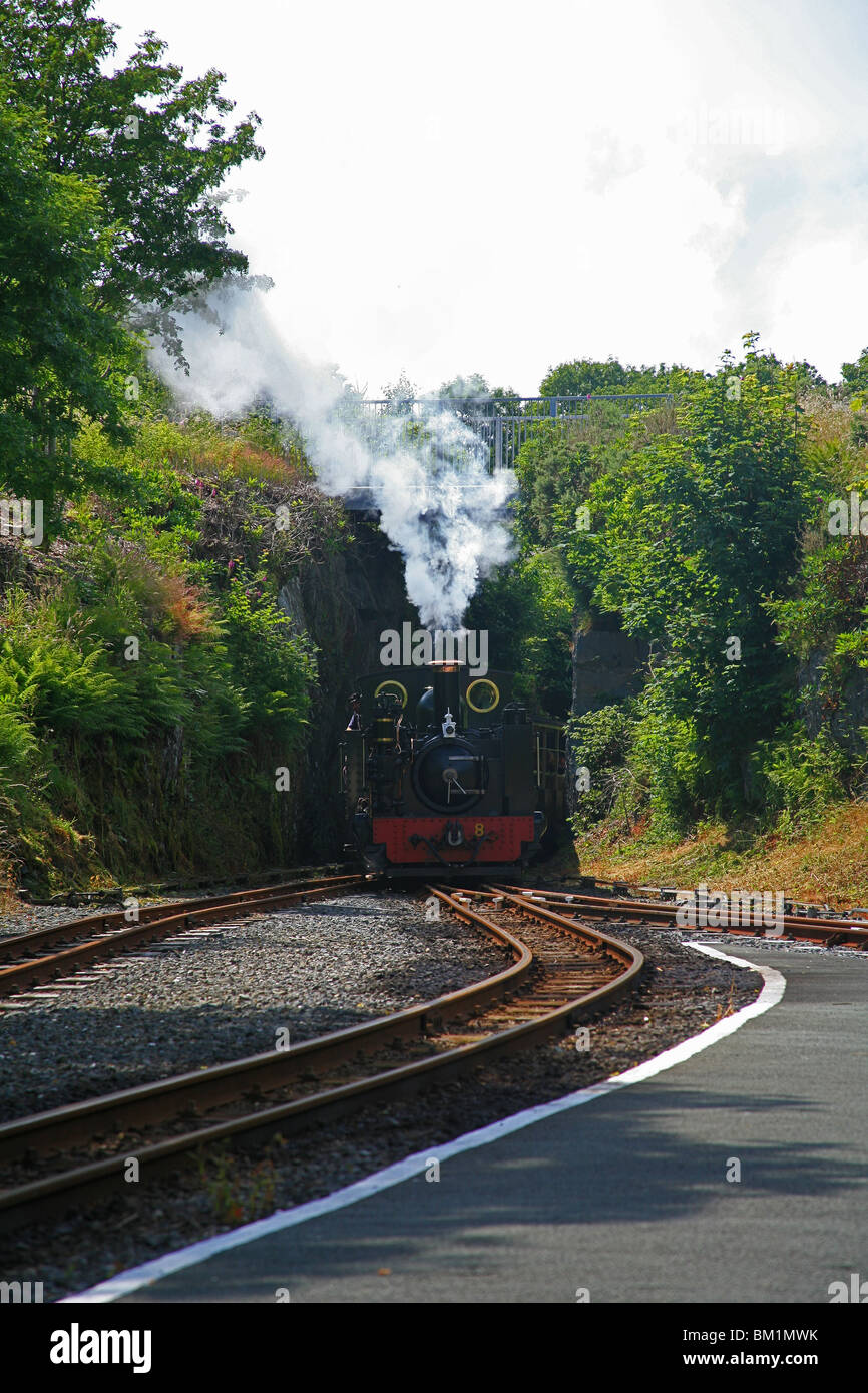 Ex - GWR Lok Nr. 8 Ankunft in Teufels Brücke Endstation des Vale of Rheidol Railway, Ceredigion, Wales, UK Stockfoto