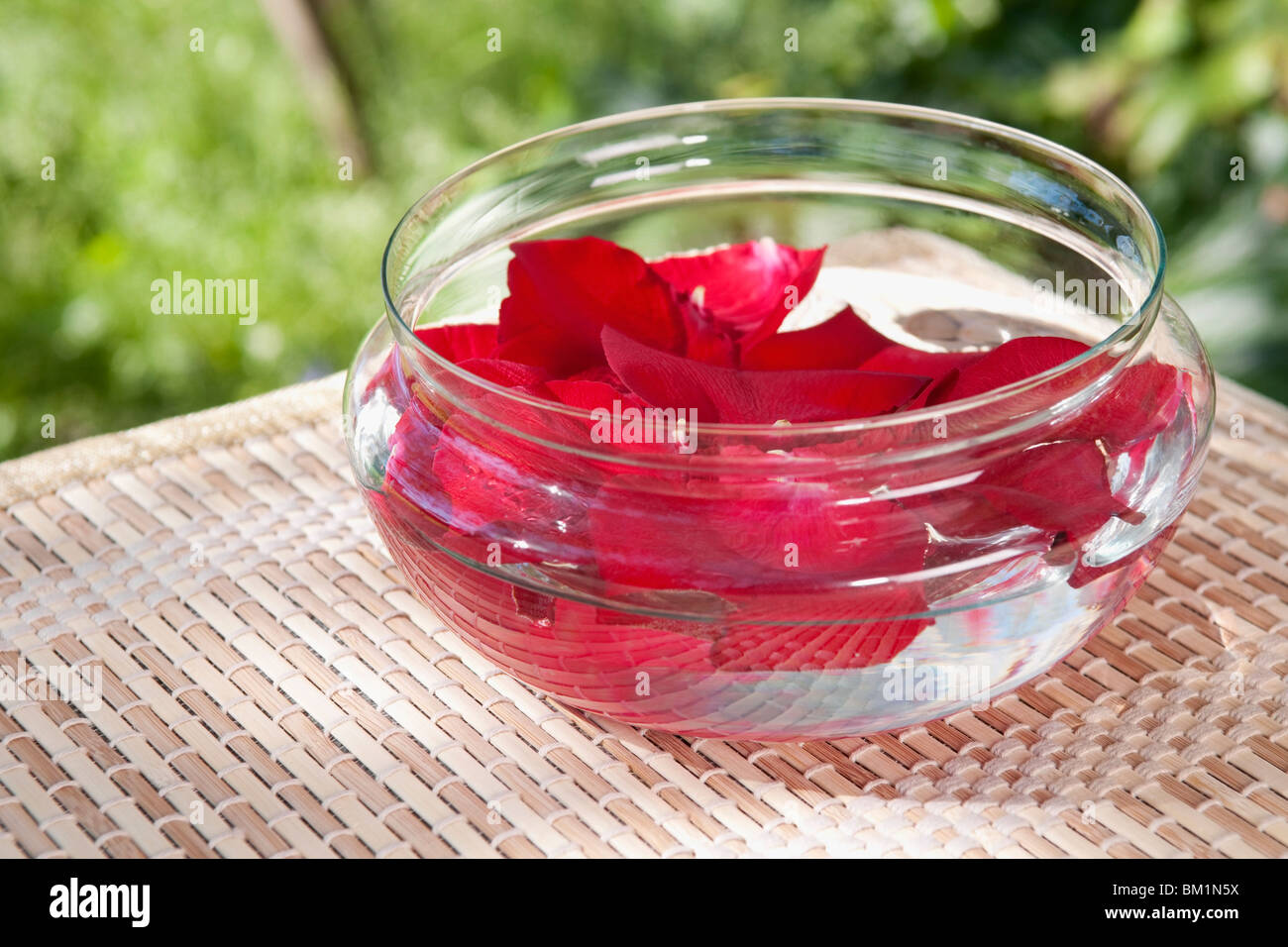 Nahaufnahme von Rosenblüten in eine Schüssel geben Stockfoto
