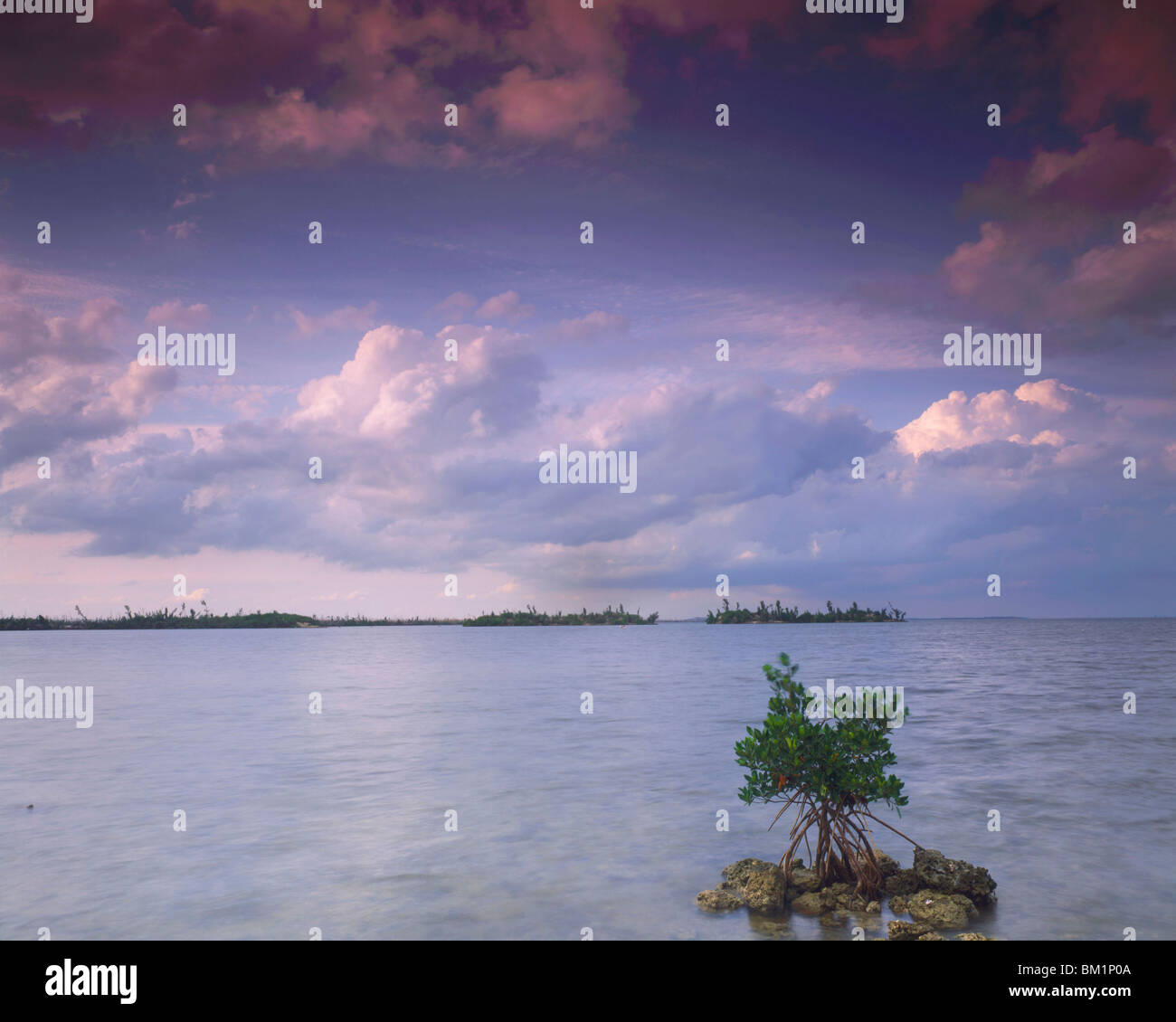 Abend Wolken über einsamen Mangroveninseln im Frühjahr Konvoi Punkt Biscayne Bucht Biscayne Nationalpark Florida Stockfoto