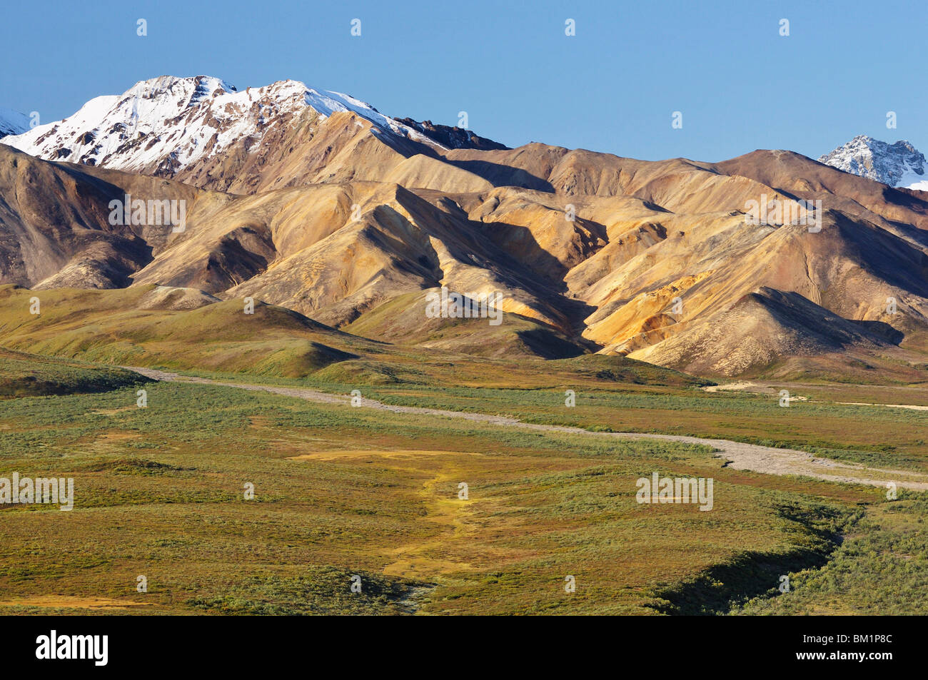 Alaska Range, Denali Nationalpark und Reservat, Alaska, Vereinigte Staaten von Amerika, Nordamerika Stockfoto