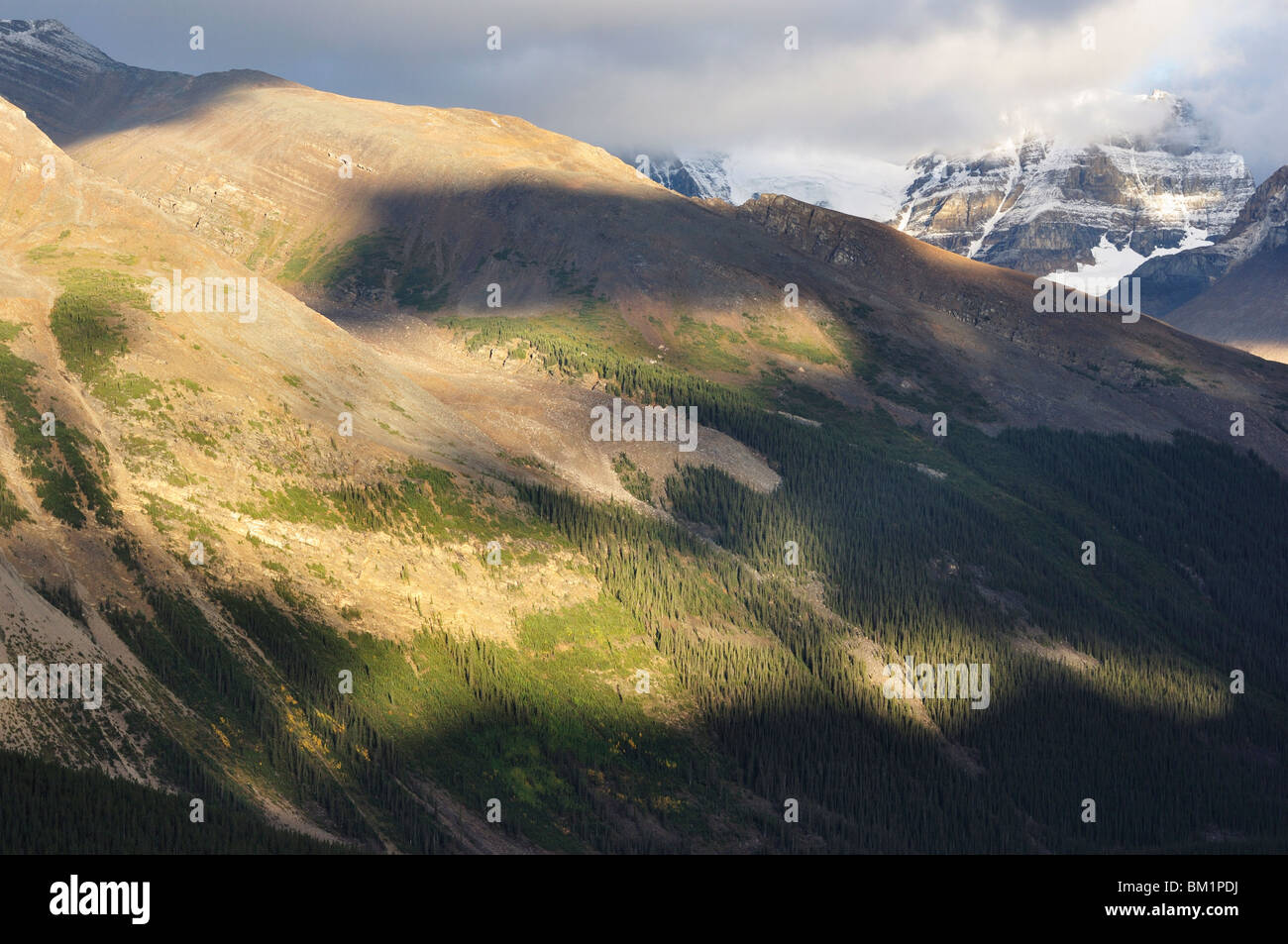 Winston Churchill Range, Jasper National Park, UNESCO-Weltkulturerbe, Rocky Mountains, Alberta, Kanada, Nordamerika Stockfoto