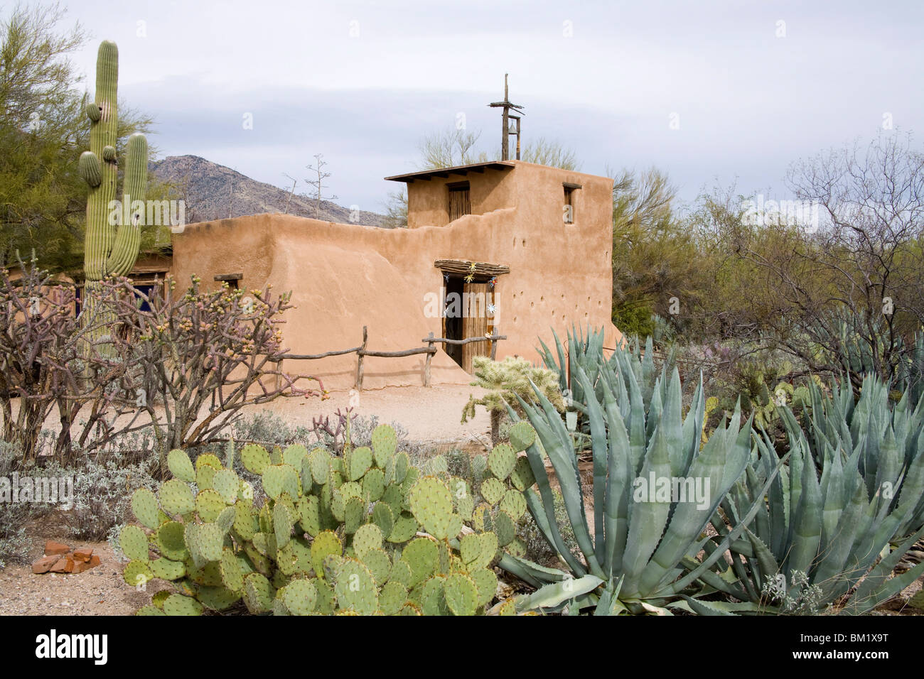 Adobe-Mission De Grazia Galerie in der Sonne, Tucson, Arizona, Vereinigte Staaten von Amerika, Nordamerika Stockfoto