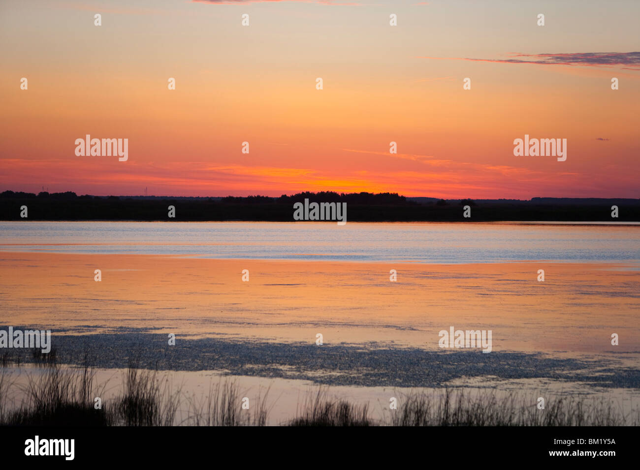 In der Nähe von Tulcea, Donau-Delta, Rumänien, Europa Stockfoto