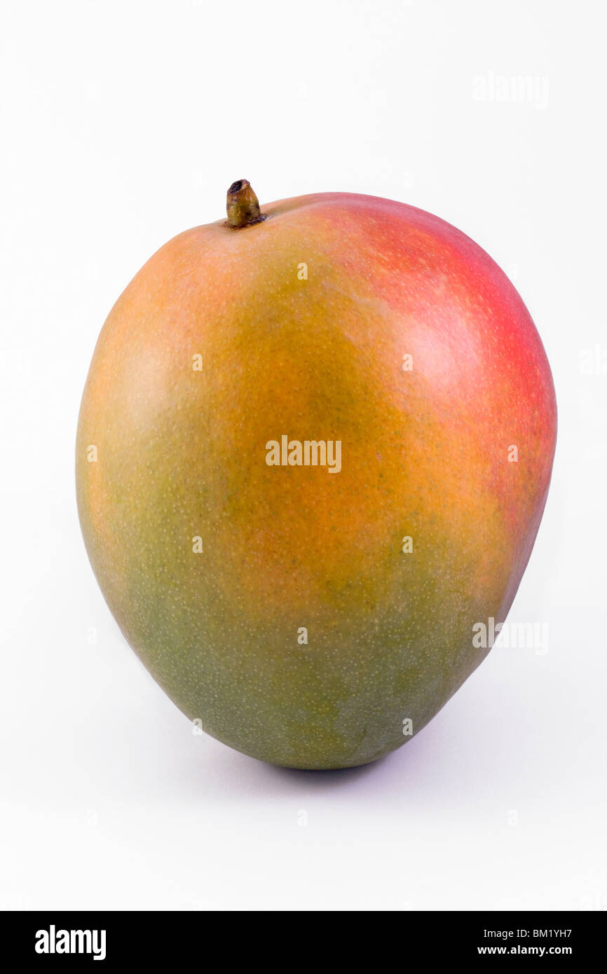 einzelne Reife Mango isoliert auf weißem Hintergrund Stockfoto