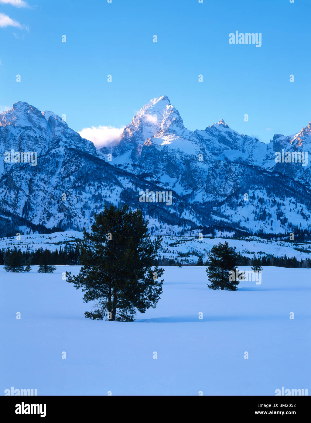 Neue Schnee auf Wiese und die Teton Range Grand Teton National Park Wyoming USA Stockfoto