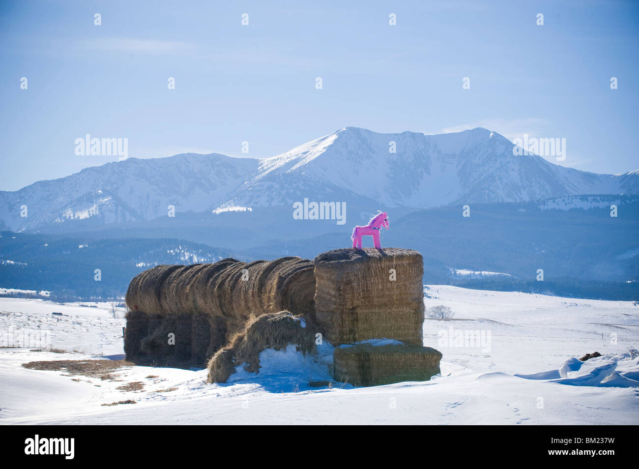 Bridger berge bozeman Fotos und Bildmaterial in hoher Auflösung Alamy