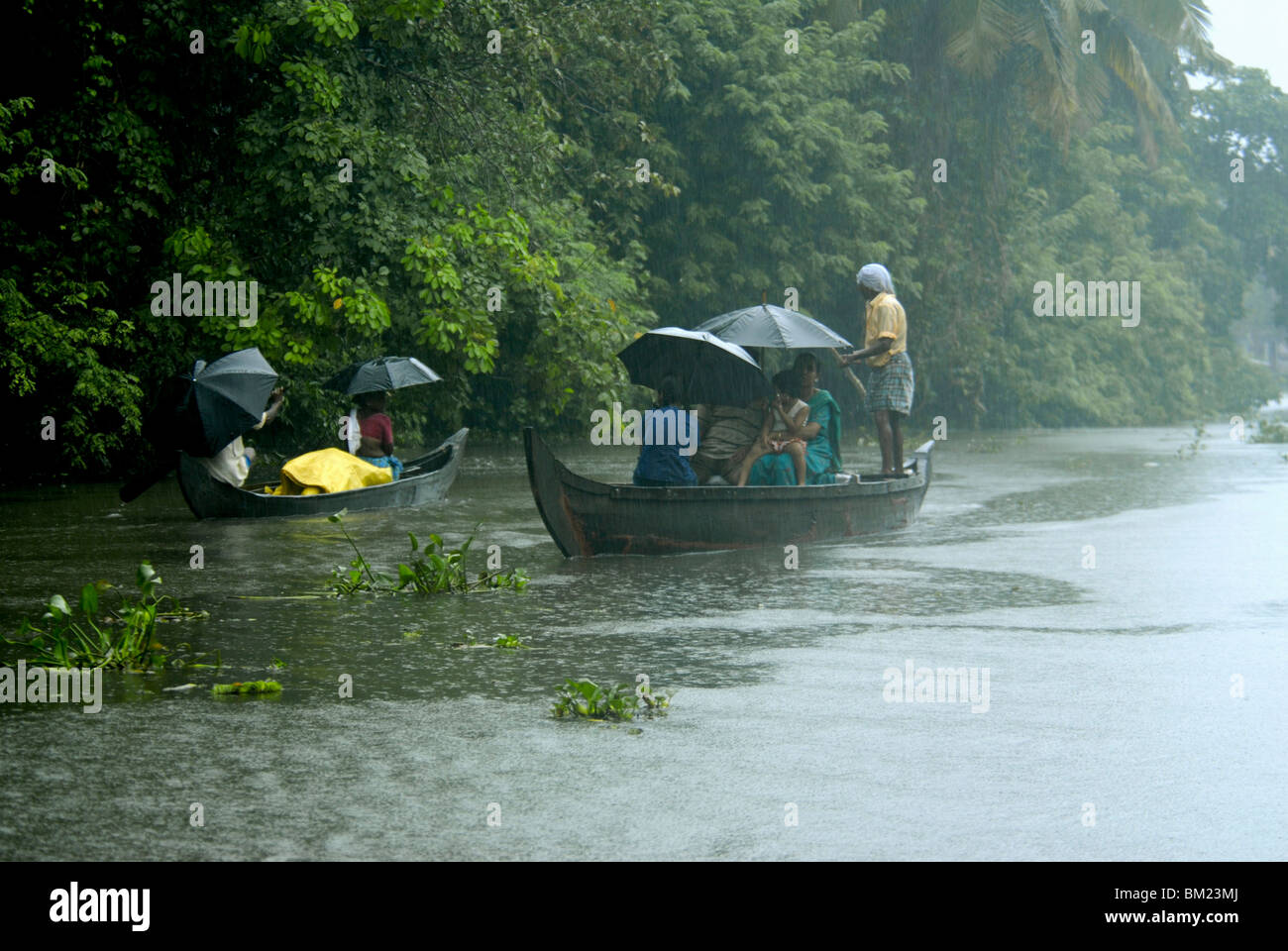 Leben während des Monsunregens, Kerala, Indien Stockfoto
