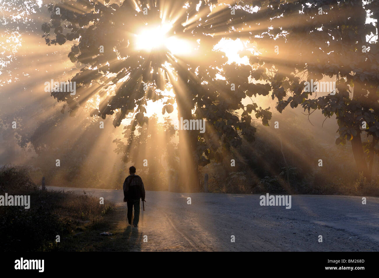 Mann zu Fuß entlang einer Straße mit Sonnenstrahlen durch einen Baum, Hochland, Myanmar (Burma) Stockfoto