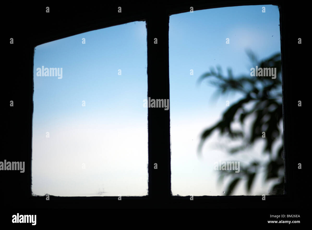 Silhouette von einem Ast durch ein Fenster, Faro, Portugal Stockfotografie  - Alamy