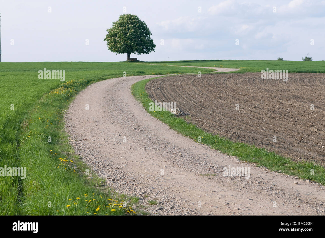 Weg durch die Landschaft, Waldsassen, Bayern, Deutschland, Europa Stockfoto