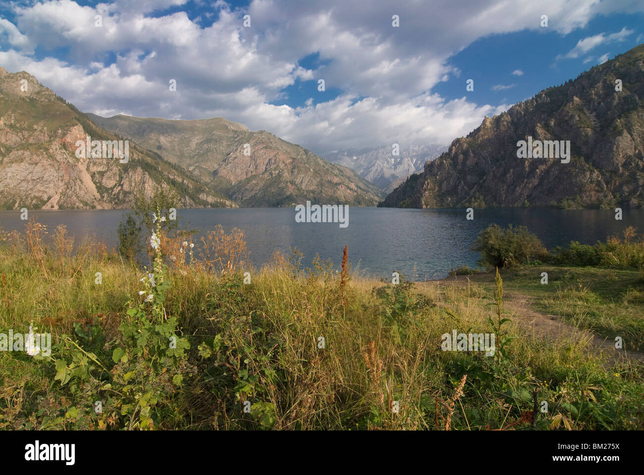 Sary-Chelek UNESCO Biosphere Reserve, Kirgisien, Zentralasien Stockfoto