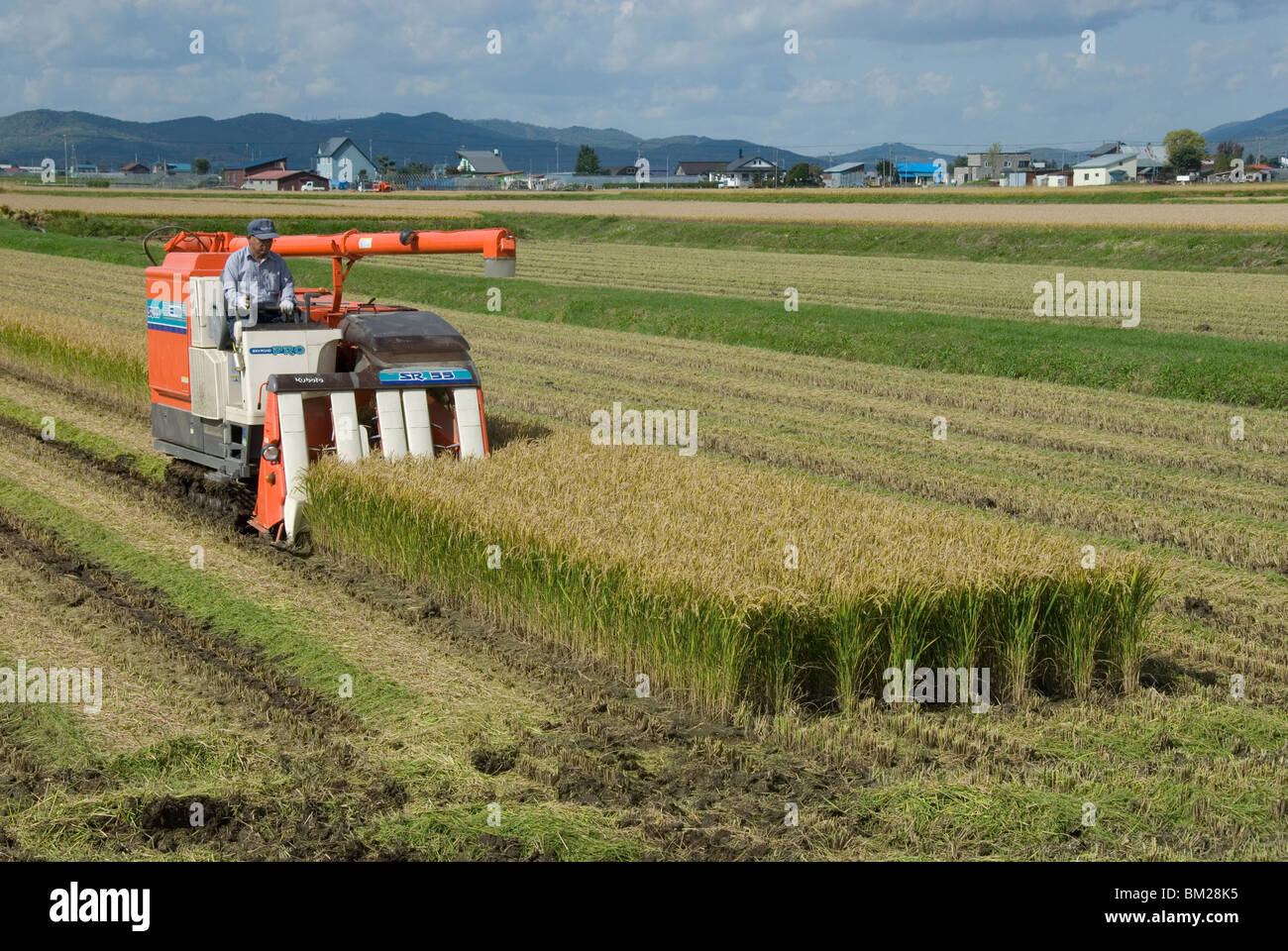Reisernte mit mini-combine Harvester, Furano Tal, zentrale Hokkaido, Japan Stockfoto