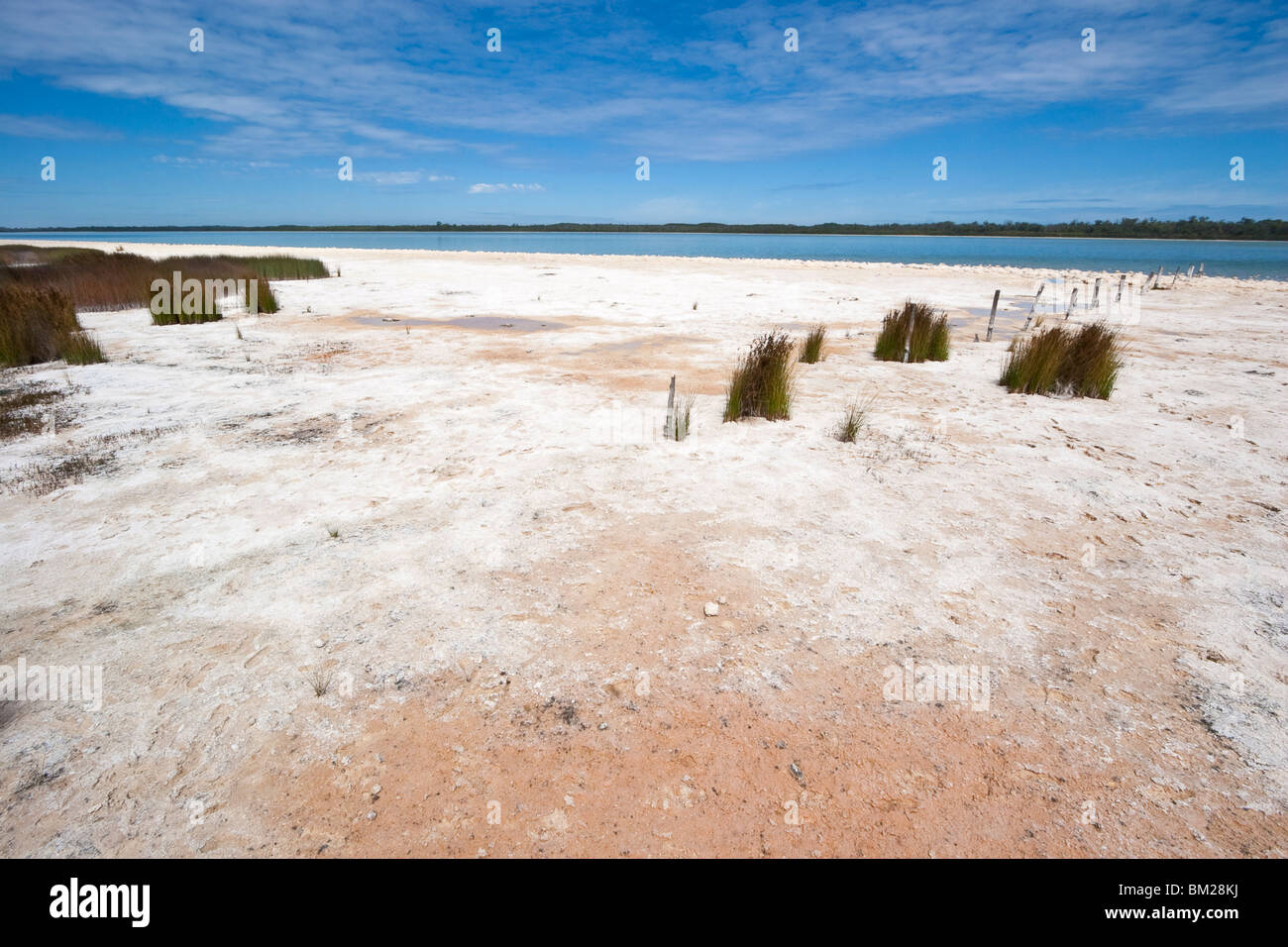 Meersalz und Algen Ablagerungen am Lake Clifton, Yalgorup Nationalpark, Mandurah, Western Australia Stockfoto