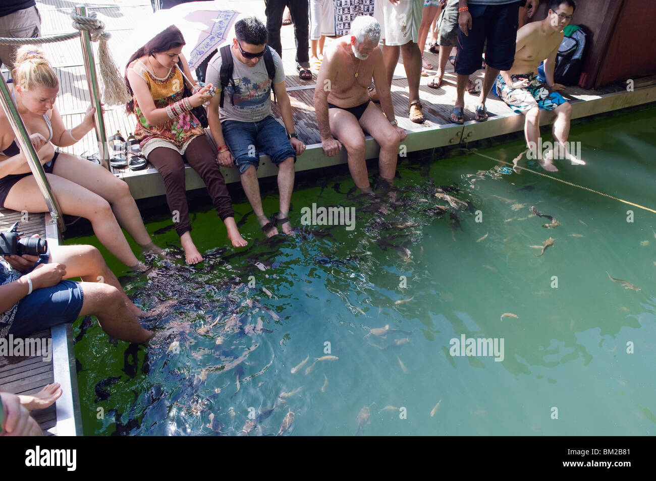 Fisch-Therapie, der Insel Langkawi, Staat Kedah, Malaysia, Südost-Asien Stockfoto