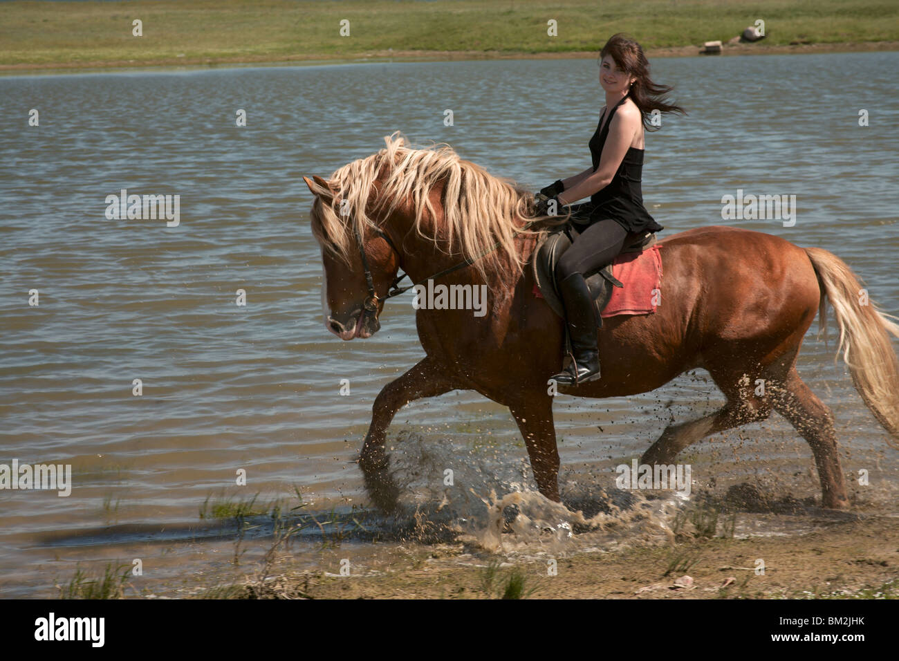 Reiterin auf einem braunen Pferd geht am Rand eines Reservoirs Stockfoto
