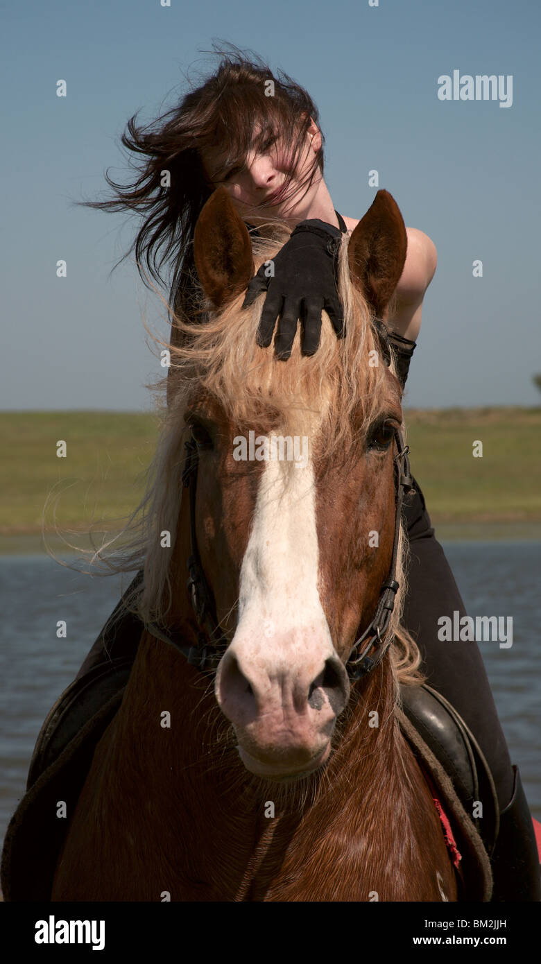 Reiterin auf einem braunen Pferd laufen auf einer wilden Wiese Stockfoto