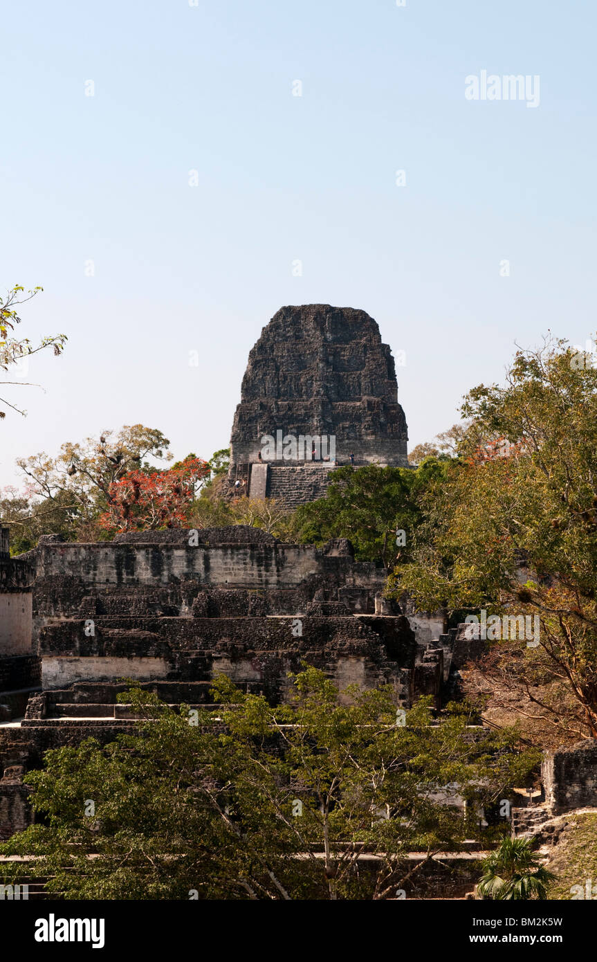 Tempel V, Maya-Ausgrabungsstätte von Tikal, Guatemala. Stockfoto