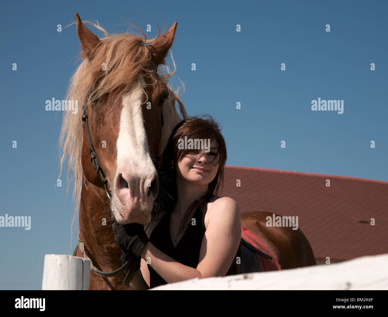 Schönes Mädchen umarmt das Lieblingspferd Stockfoto