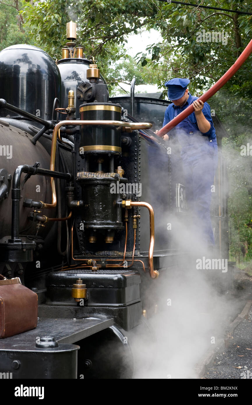 Eine Dampflokomotive Puffing Billy-Dampfeisenbahn in die Dandenongs in der Nähe von Melbourne, Victoria, Australia Stockfoto