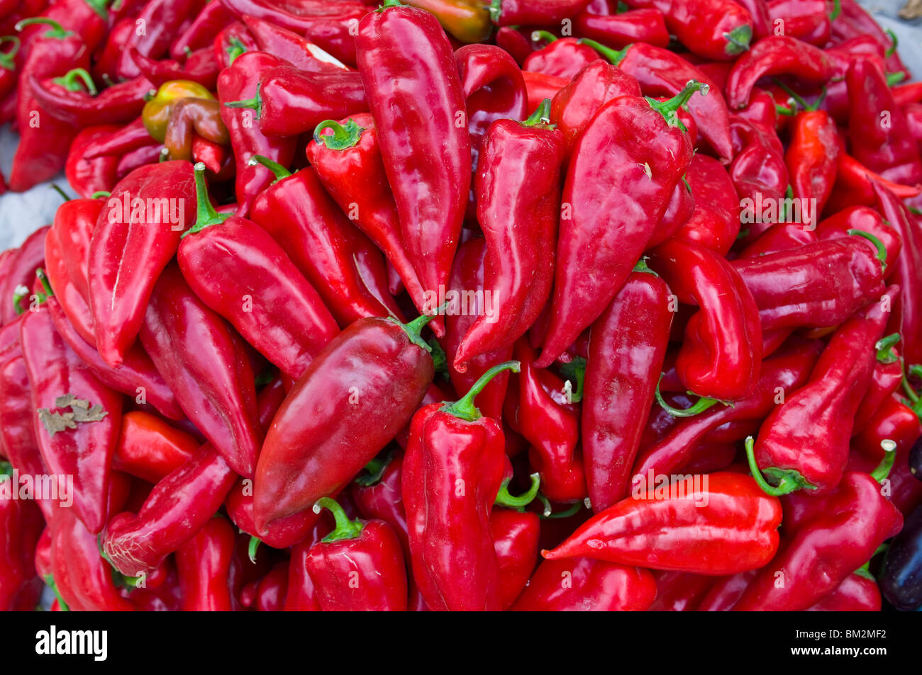 Nahaufnahme von Chilischoten in den Basar von Osch, Kirgisistan Stockfoto