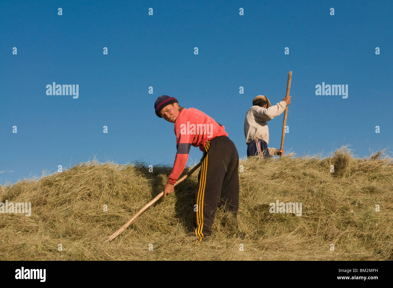 Landwirtschaft, Familie arbeiten im Feld, Sary Tash, Kirgisistan Stockfoto