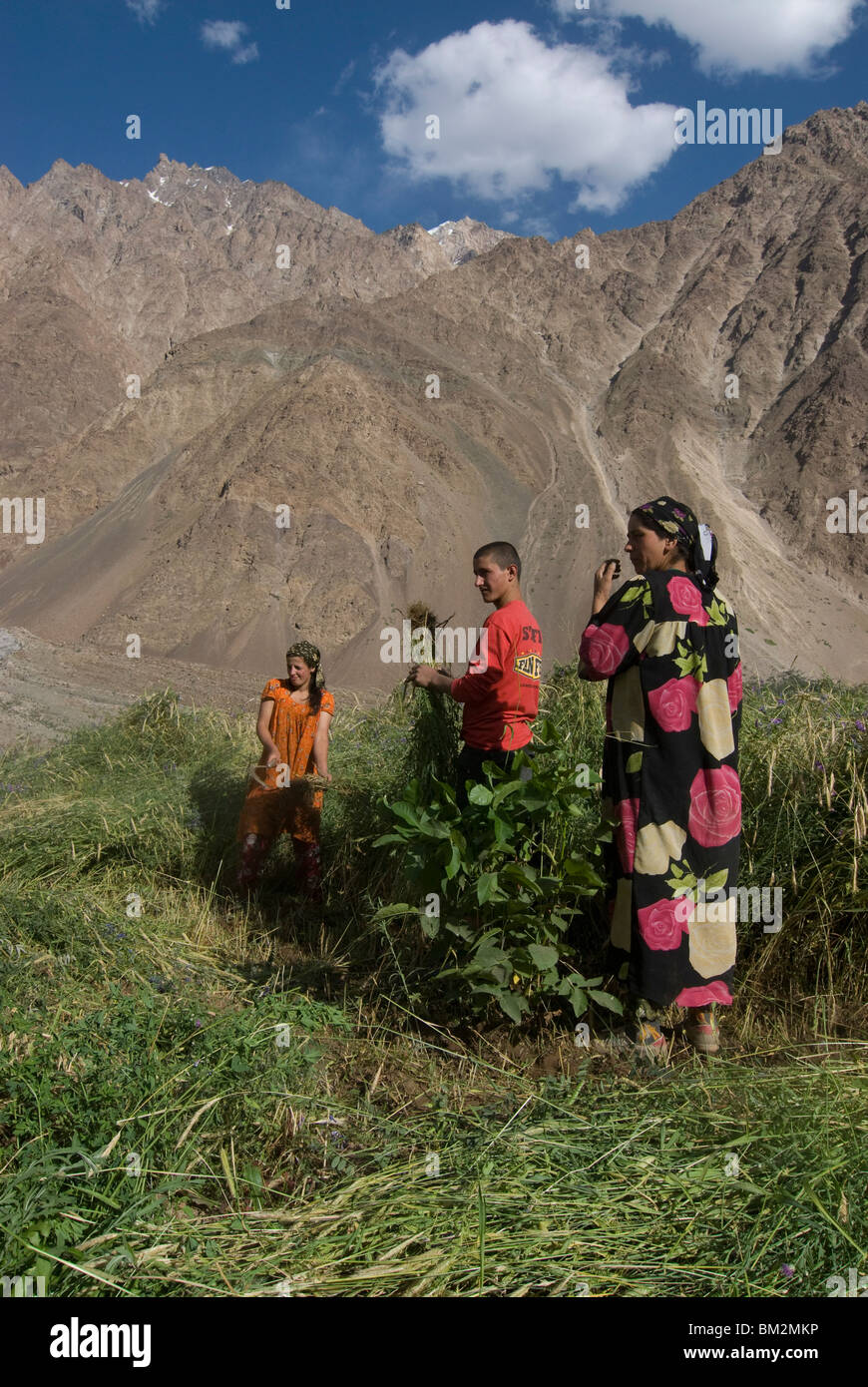 Landwirtschaft, Familie arbeiten im Feld, Bartangtal, Tadschikistan Stockfoto