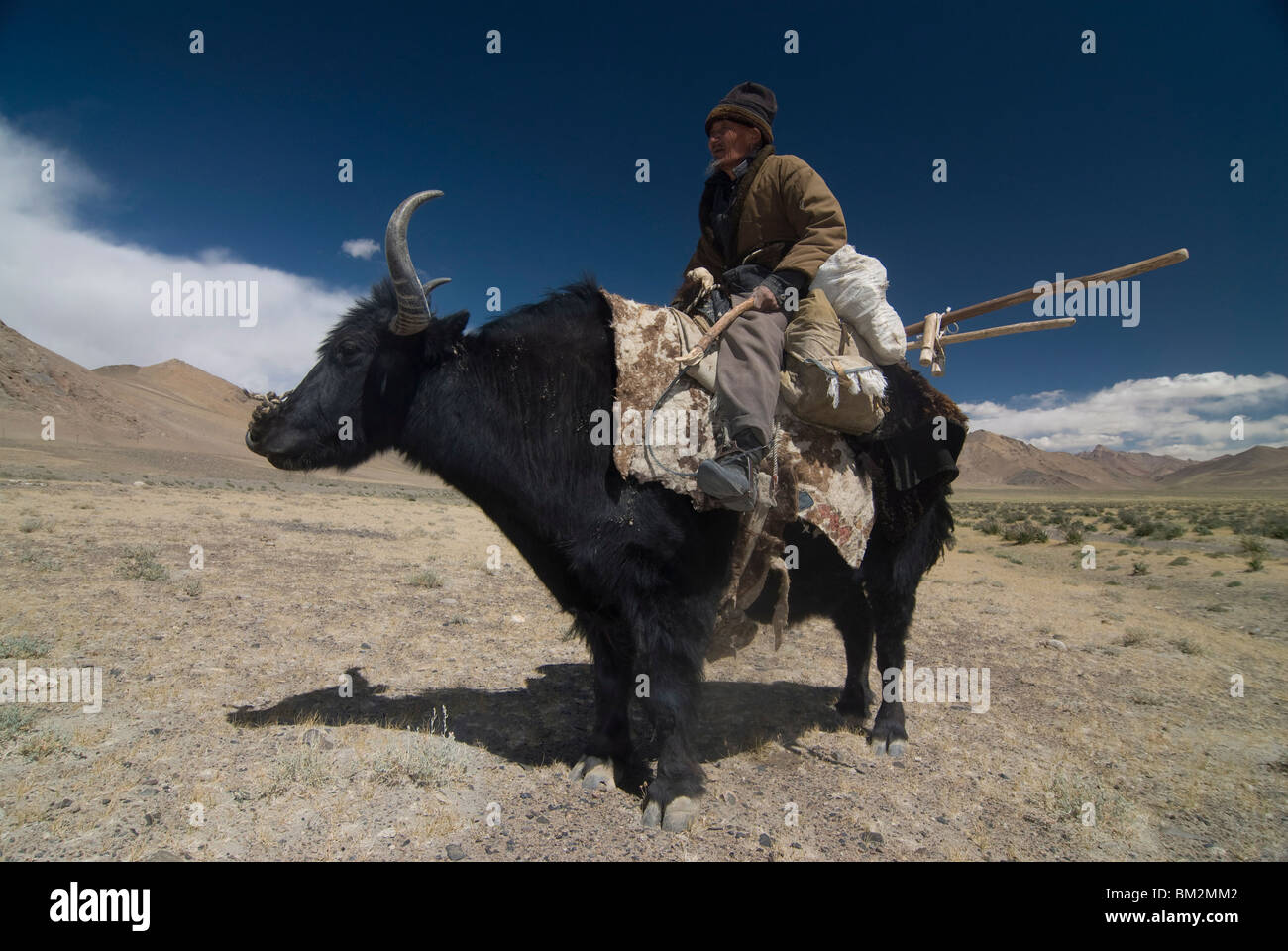 Mann reitet ein Yak, Pamir Highway, Tadschikistan Stockfoto