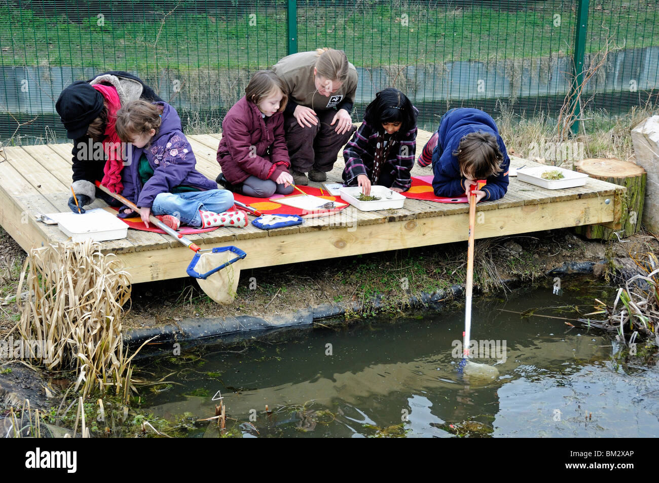 Teich, der kinder eintaucht Fotos und Bildmaterial in hoher Auflösung