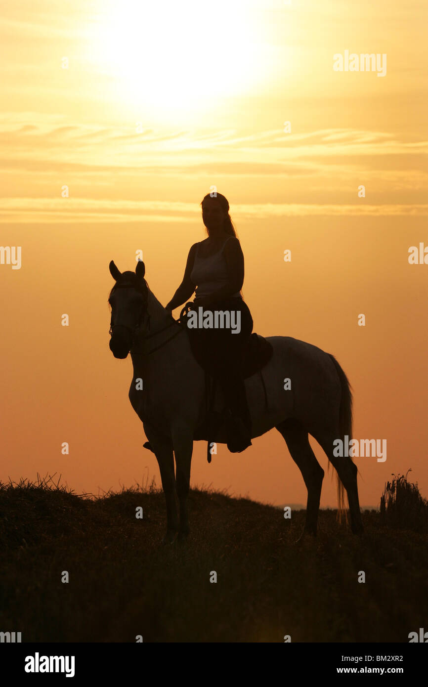 Reiter Im Raummotive / Reiterin in den Sonnenuntergang Stockfoto