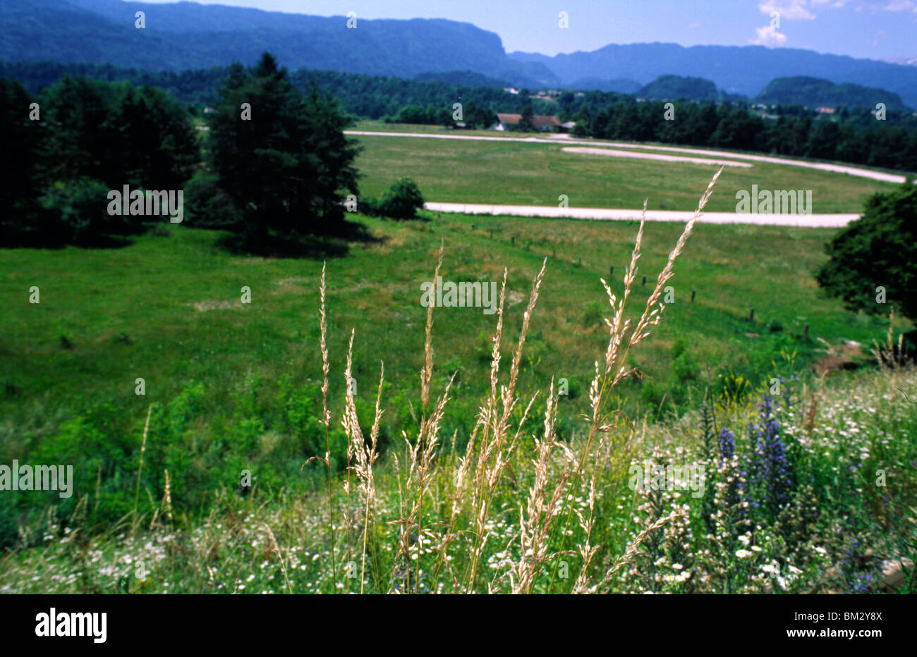 Slowenien, Juni 2009 - slowenischen Landschaft auf dem Weg vom Bahnhof Lesce-Bled zum Bleder See. Stockfoto