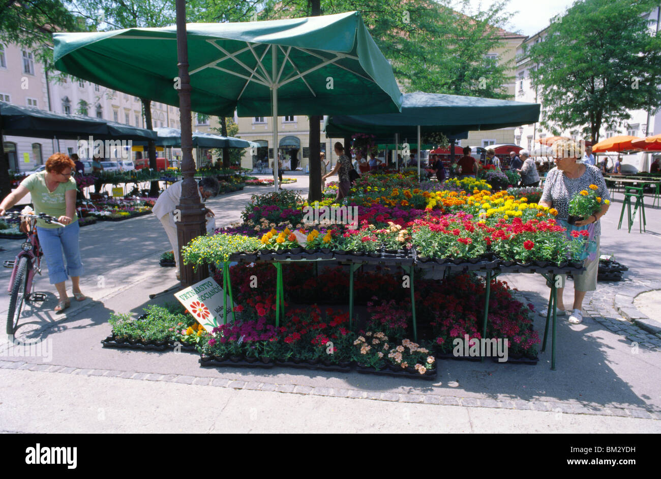 Ljubljana, Slowenien, 15. Juni 2009 - Blumenmarkt am Vodnikov Trg. Stockfoto