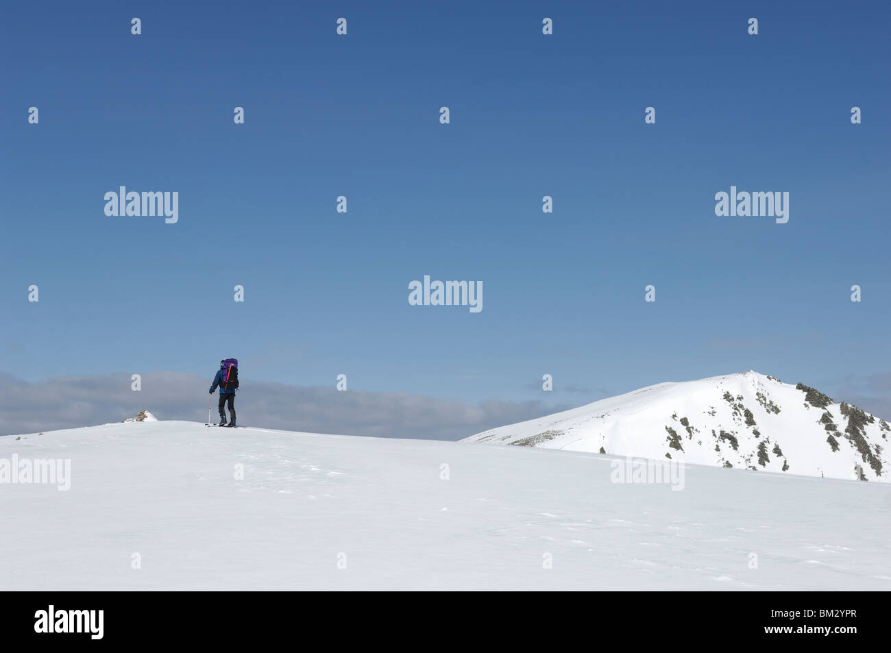 Ein Mann mit dem Skibergsteigen unter blauem Himmel mit Telemark Ausrüstung auf Angel Peak mit Braeriach im Hintergrund Cairngorms NP. Stockfoto