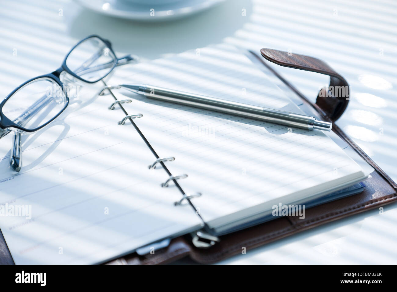 Tagebuch, Kugelschreiber und Gläser Stockfoto