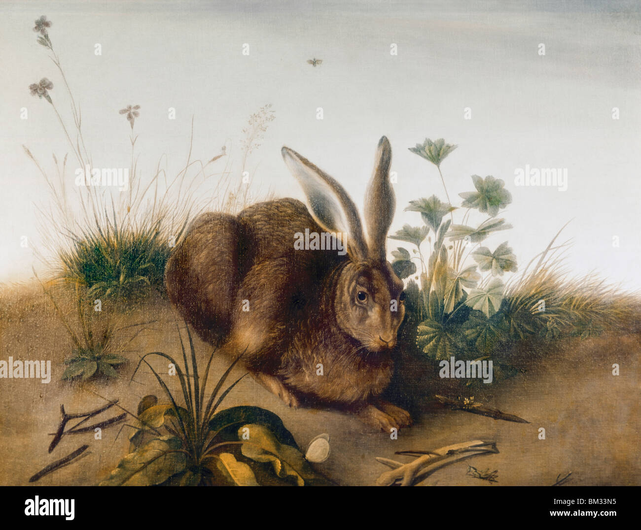 Schneeschuh-Hasen von Audubon (1785-1851) Stockfoto