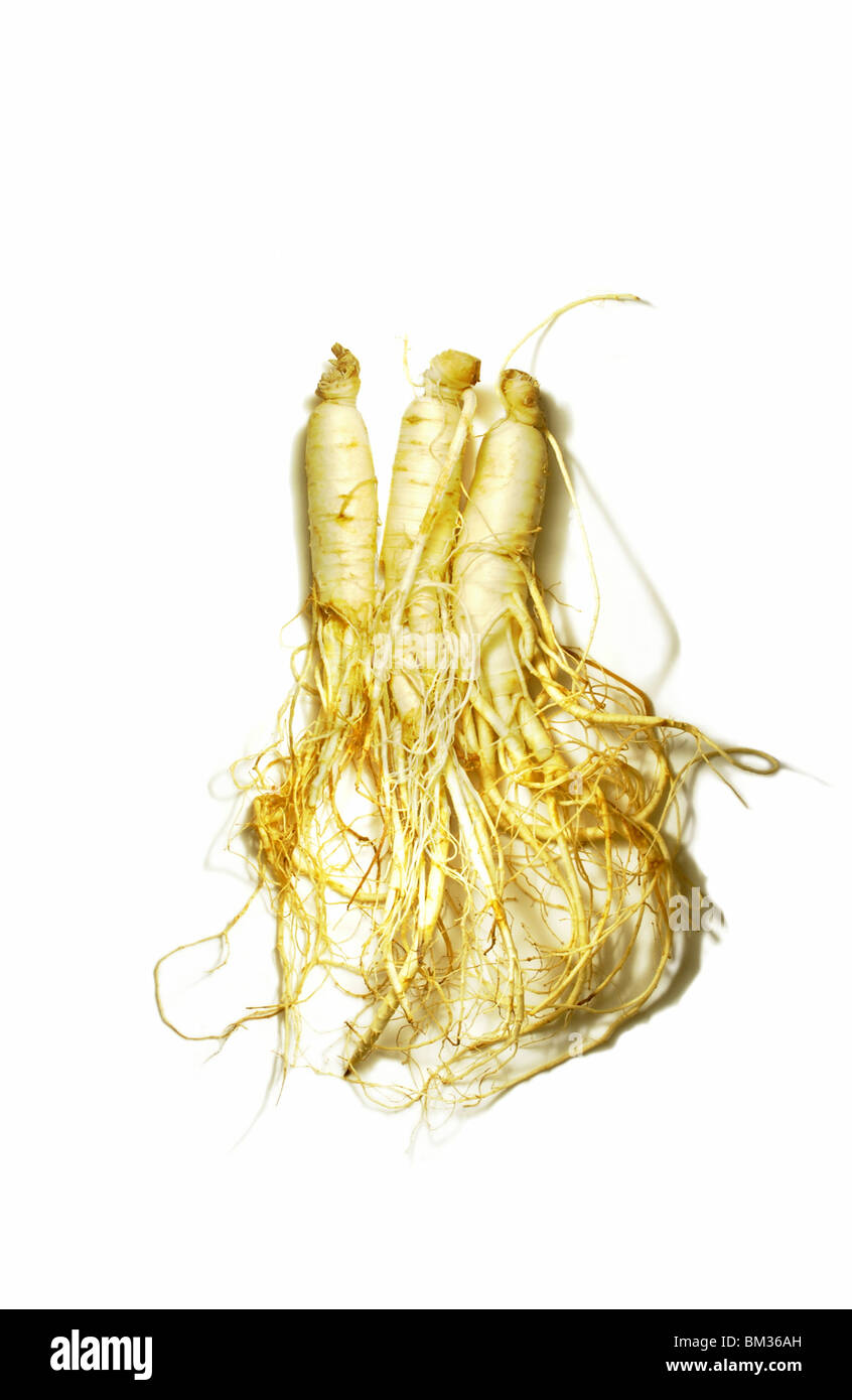 Ginseng Wurzeln, weißer Hintergrund Stockfoto
