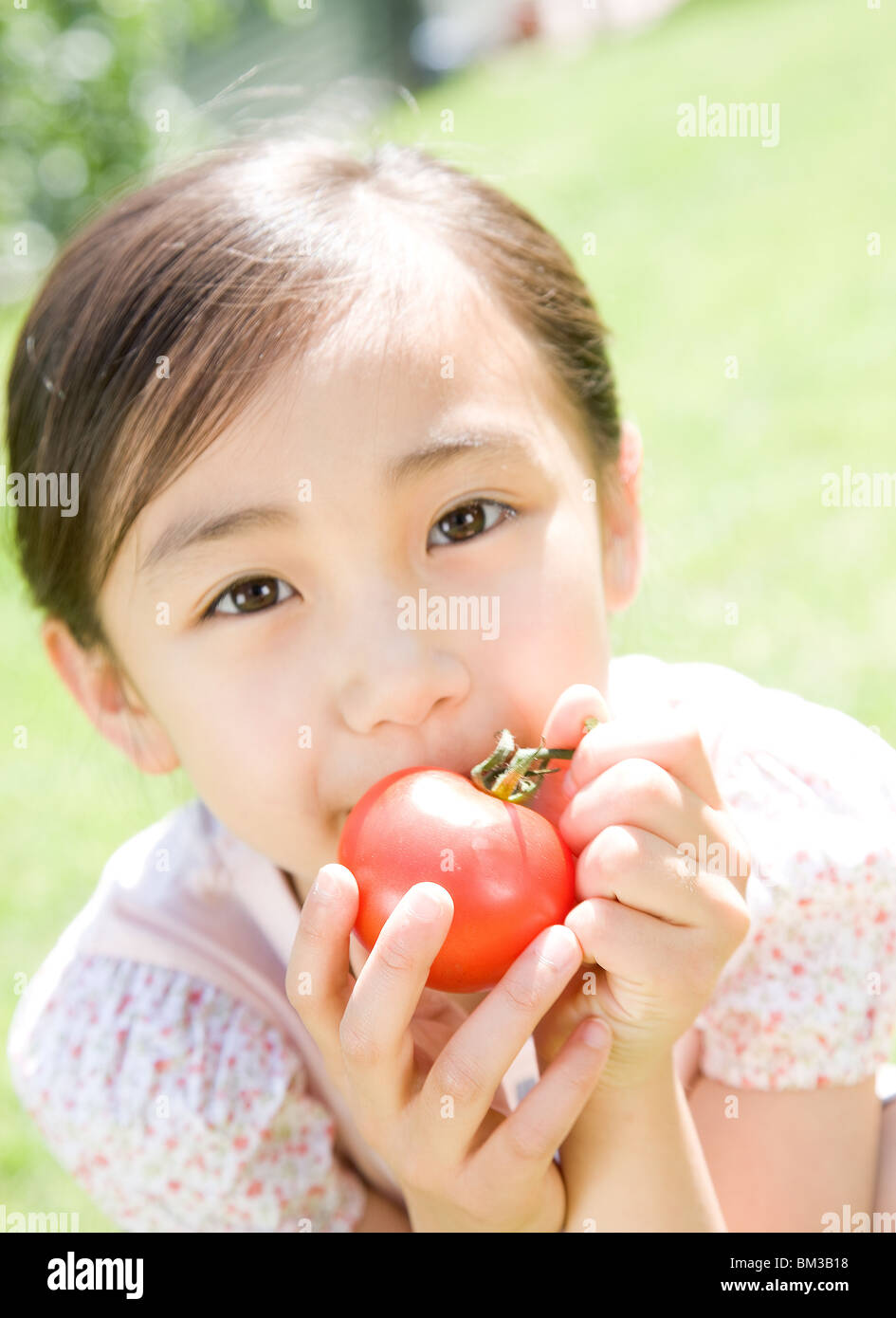 Ein Mädchen, dass Tomaten Stockfoto