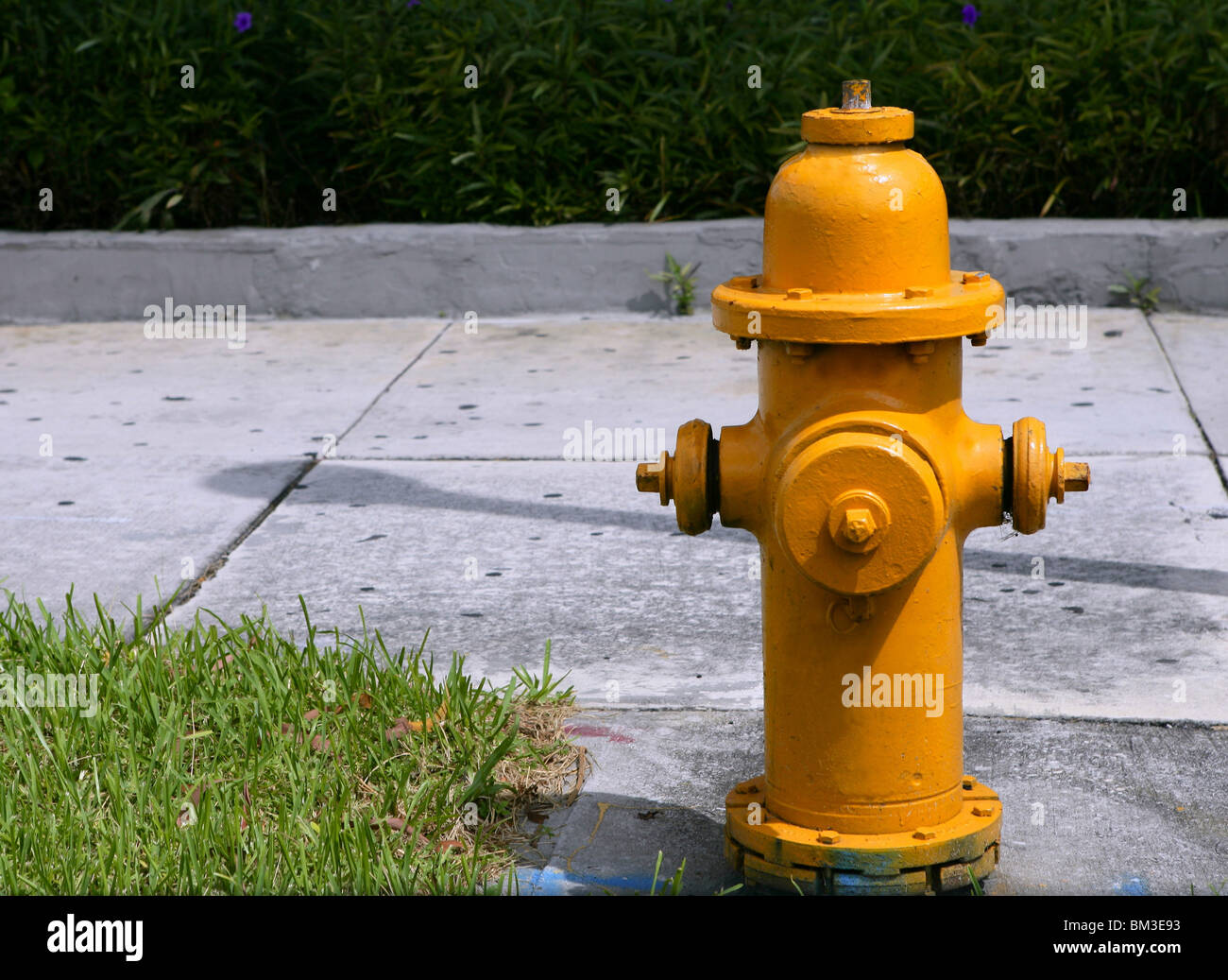 amerikanische Schlauch Hydranten, städtischen Feuer-Prävention-Ausrüstung Stockfoto