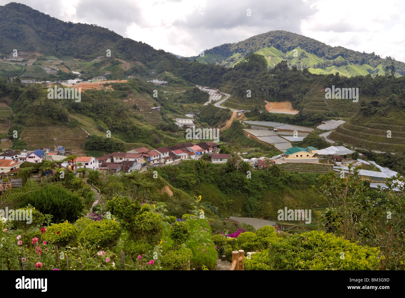 Das Dorf von Rose Valley nahe Brinchang, Malaysia. Stockfoto