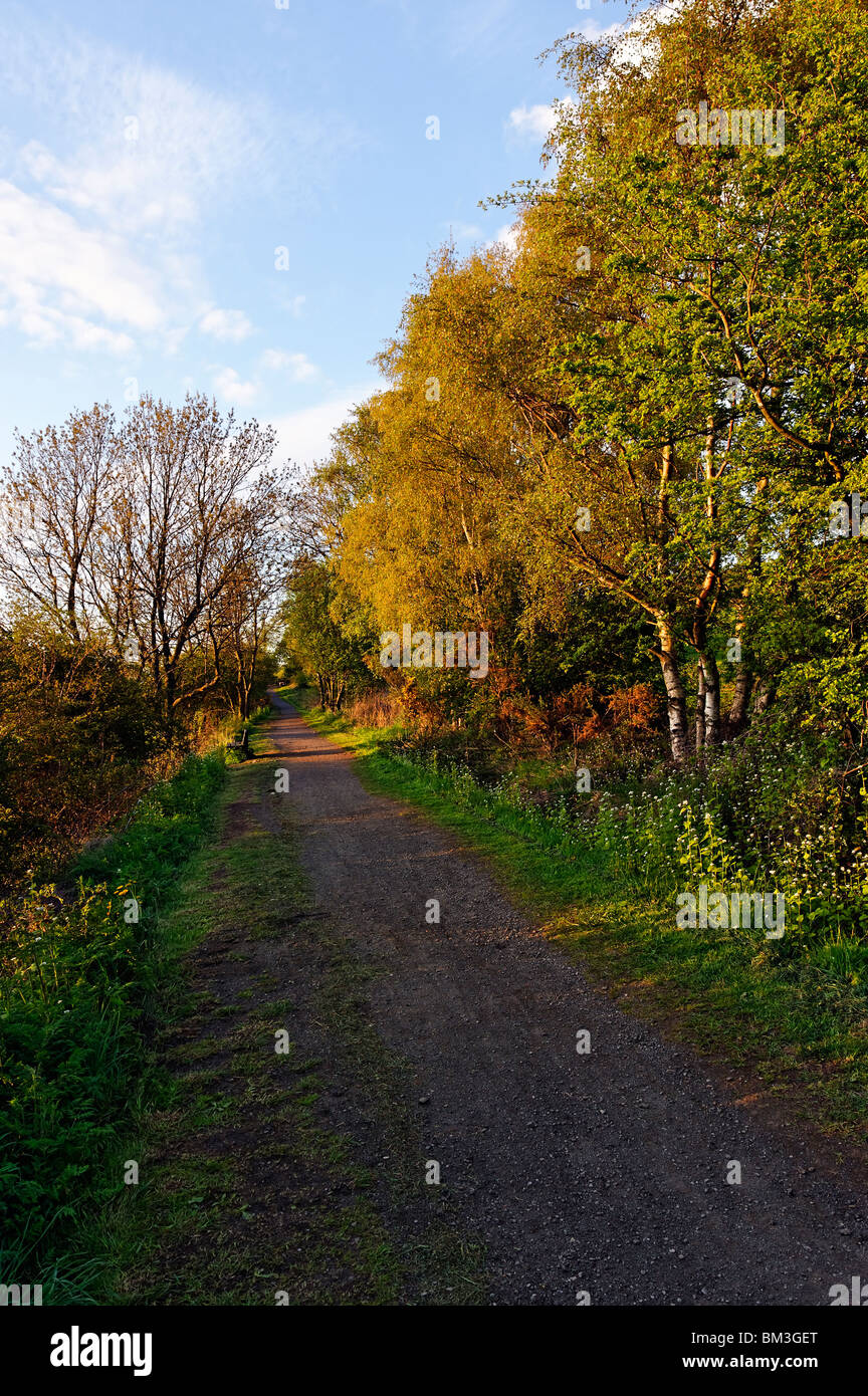 Ein Abschnitt der Derwent-Wanderung zwischen Ebchester und Shotley Brücke Stockfoto