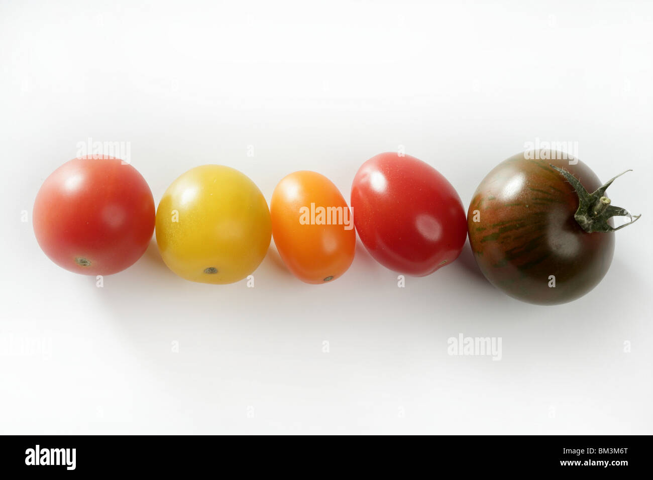 Kleine Kirsche variiert Multi Farbe Tomaten, im Studio, weißer Hintergrund Stockfoto