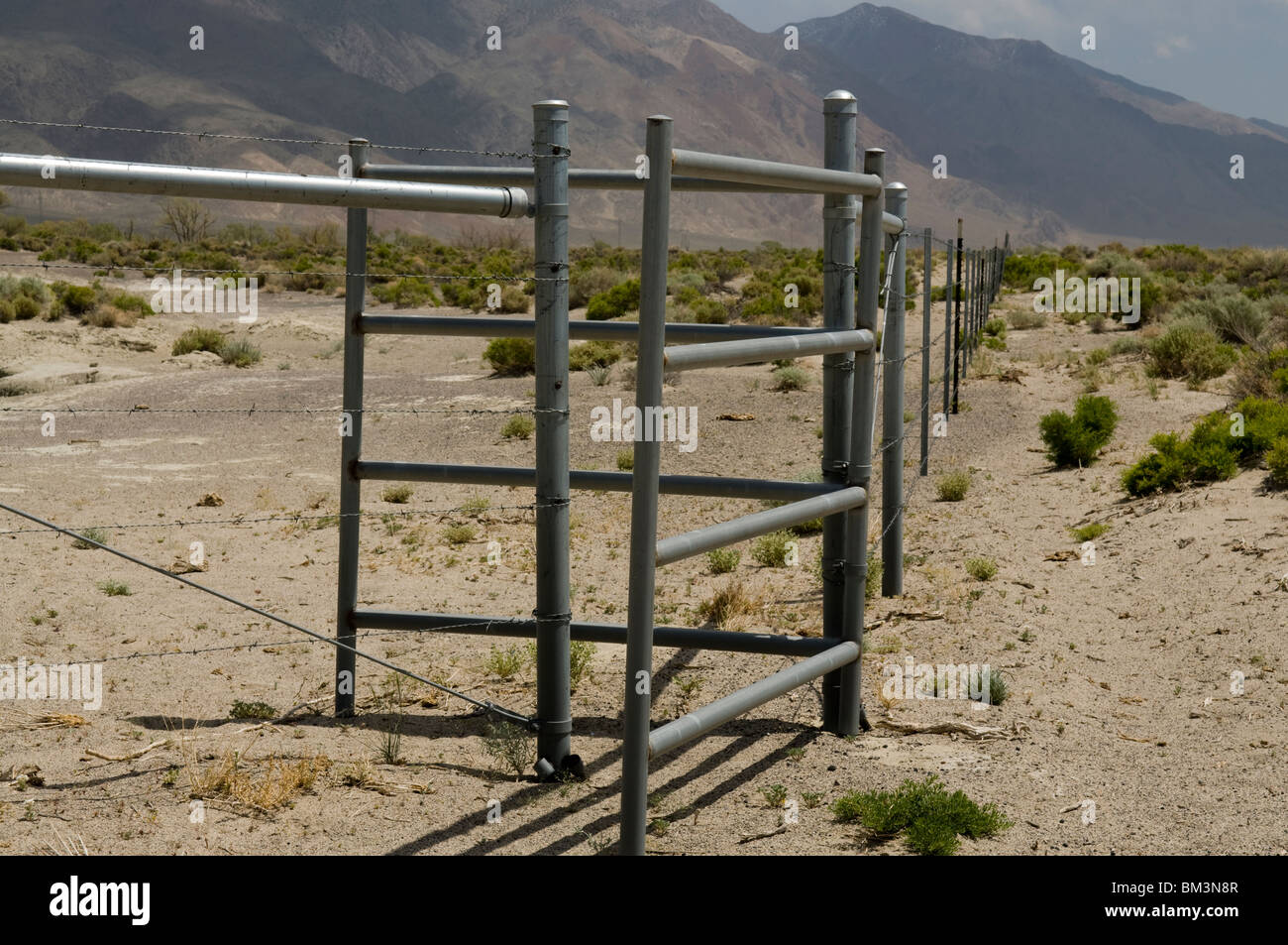 Unteren Owens River-Abschnitt, der durch die LADWP geflutet wurde.  Flüsse haben mindestens erforderliche Niveau und Gewohnheit verbessert. Stockfoto