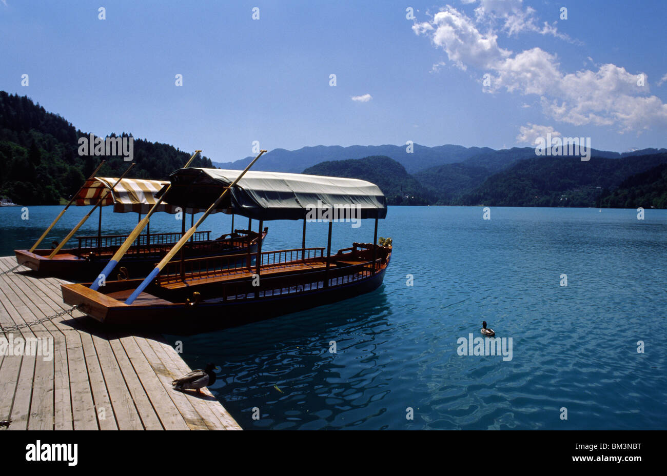 Slowenien, 15. Juni 2009--traditionelle Boote am Bleder See. Stockfoto