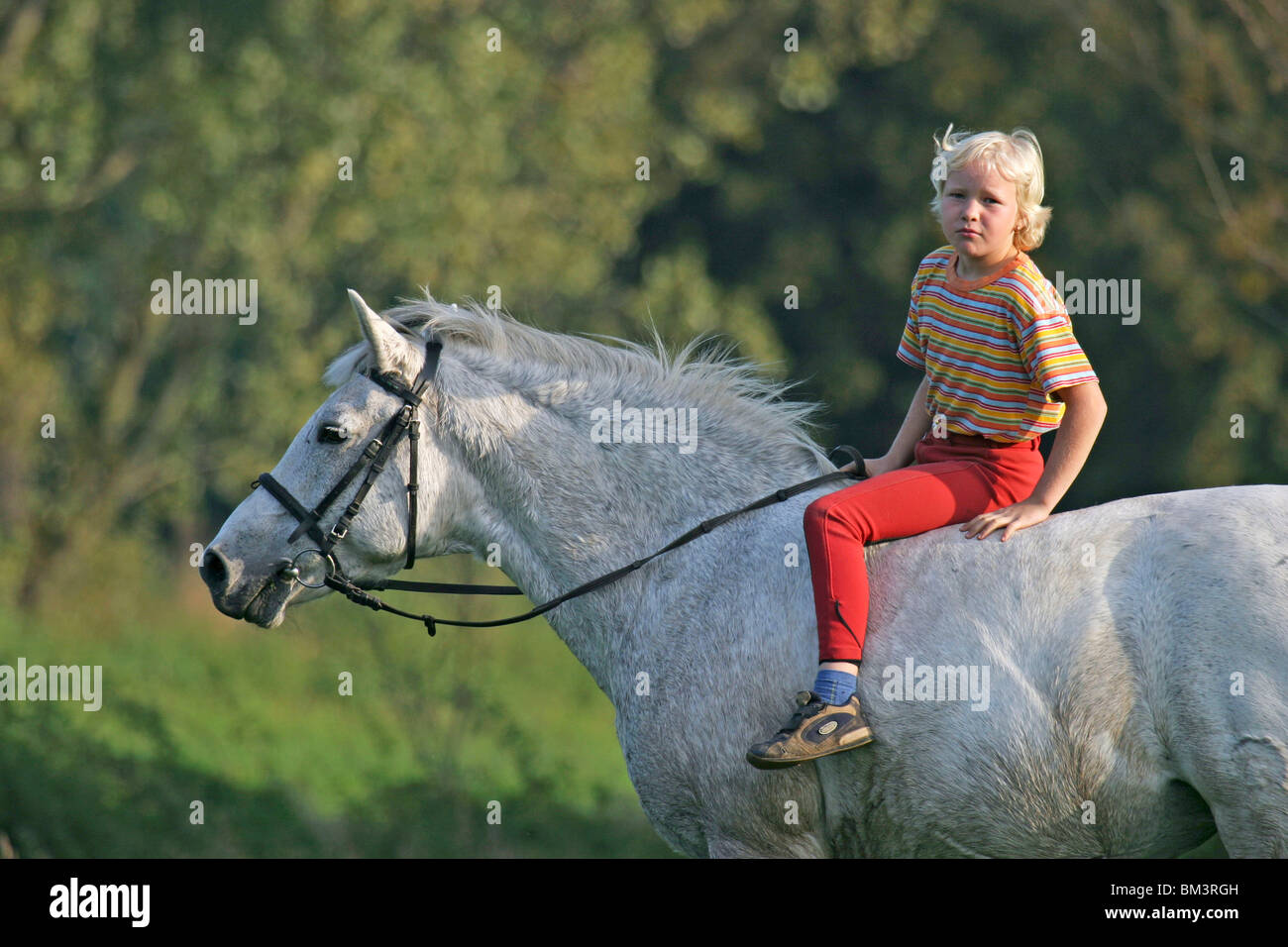 Mädchen Auf Pony / Mädchen mit Pony Stockfoto