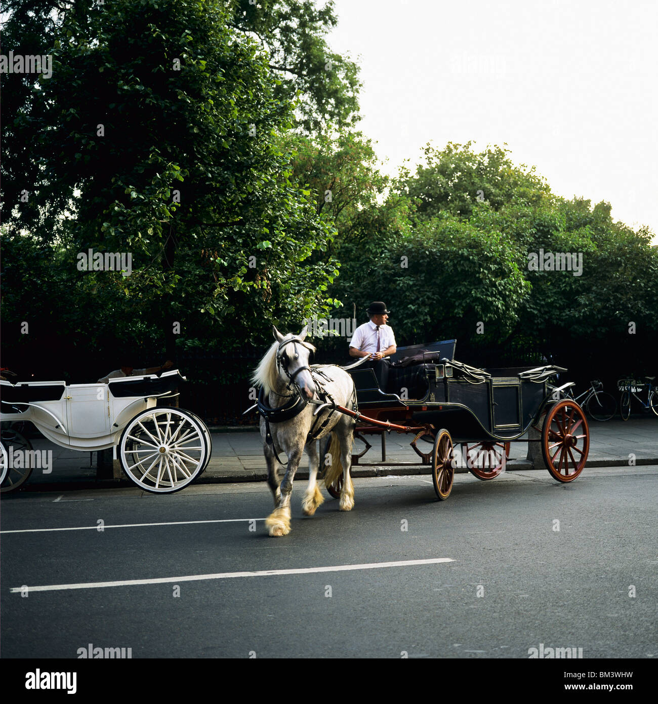 Pferdekutsche & TREIBER ST STEPHEN'S GREEN DUBLIN IRLAND EUROPA Stockfoto