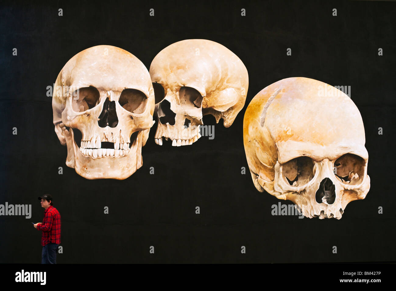 Zeigen Sie in der Gallery of Modern Art (GoMA) im kulturellen Bezirk von South Bank. Brisbane, Queensland, Australien Stockfoto