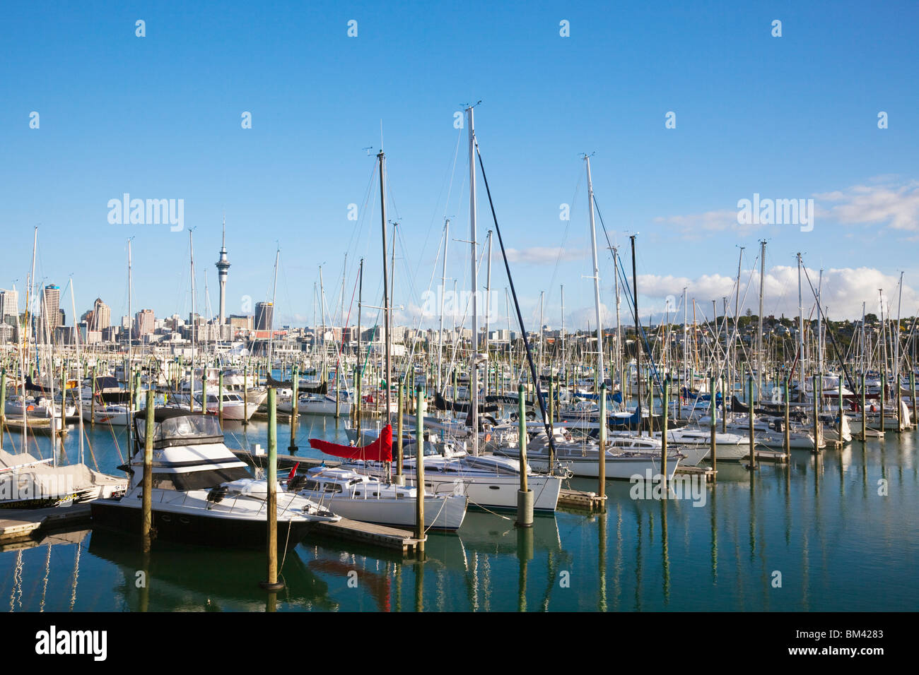 Yachten in Westhaven Marina. Auckland, Nordinsel, Neuseeland Stockfoto