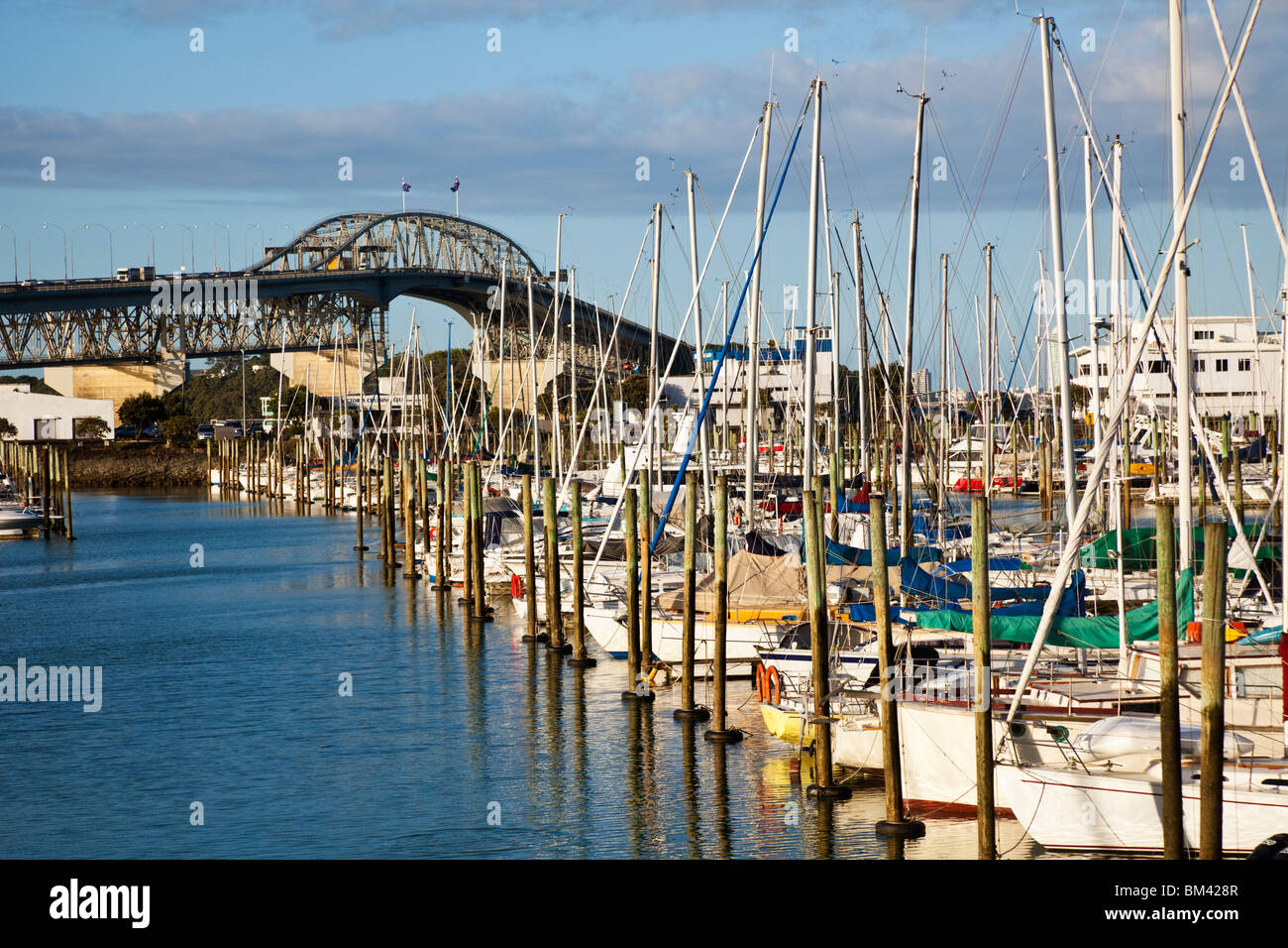 Blick über Westhaven Marina an der Auckland Harbour Bridge. Auckland, Nordinsel, Neuseeland Stockfoto