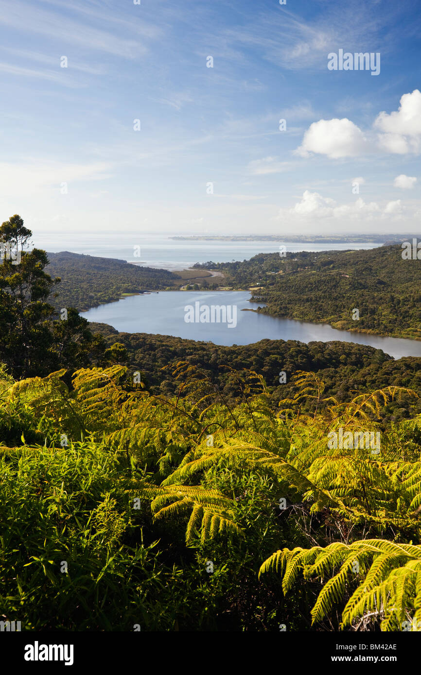 Blick auf den Waitakere Ranges Regionalpark von Arataki Besucherzentrum. Waitakere Ranges, Auckland, Nordinsel, Neuseeland Stockfoto