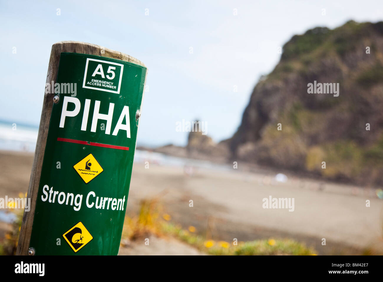 Warnschild am Piha Beach - berüchtigt für seine gefährlichen Strömungen. Piha, Waitakere Ranges Regional Park, Auckland, Nordinsel, Stockfoto